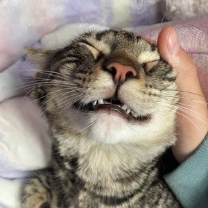 Meet your Posher, Terry